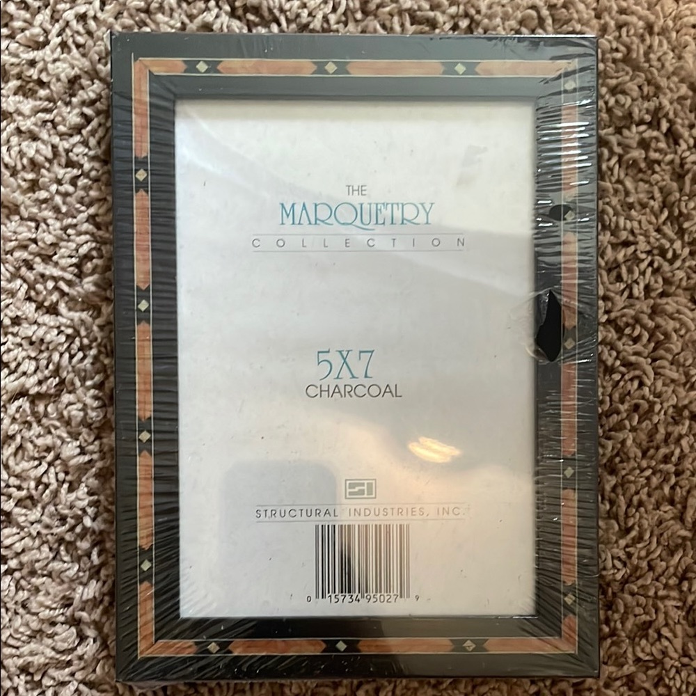 Arche Gray Picture Frame with Distinct Accents